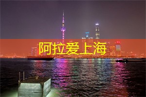 2025上海国际马拉松赛事