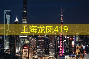上海的夜景摄影比赛：记录美丽瞬间